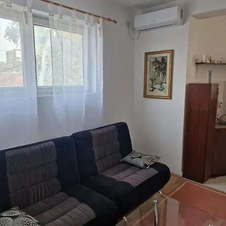 Janicijevic 1 Apartment