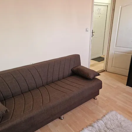 Janicijevic 1 * كراغوييفاك