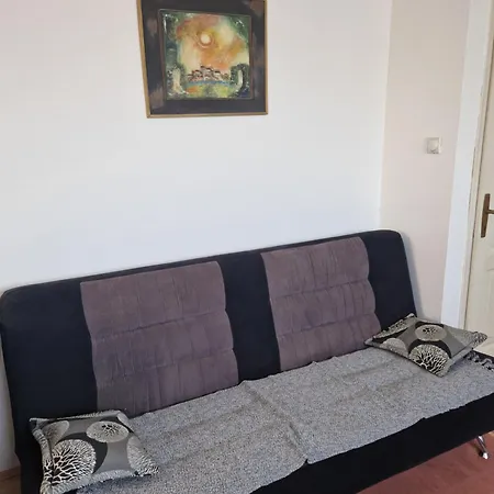 Janicijevic 1 *
