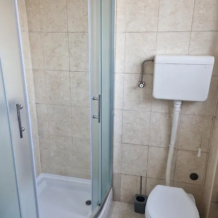 Janicijevic 1 * Kragujevac
