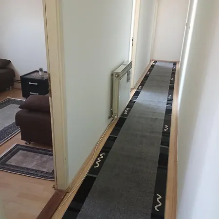 Apartment Janicijevic 1 *