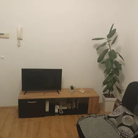 Apartment Janicijevic 1 *