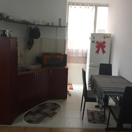Janicijevic 1 Apartment