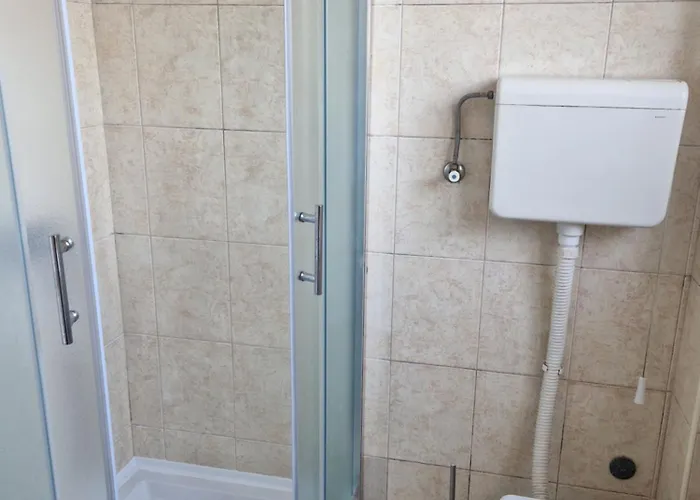 Janicijevic 1 * Kragujevac