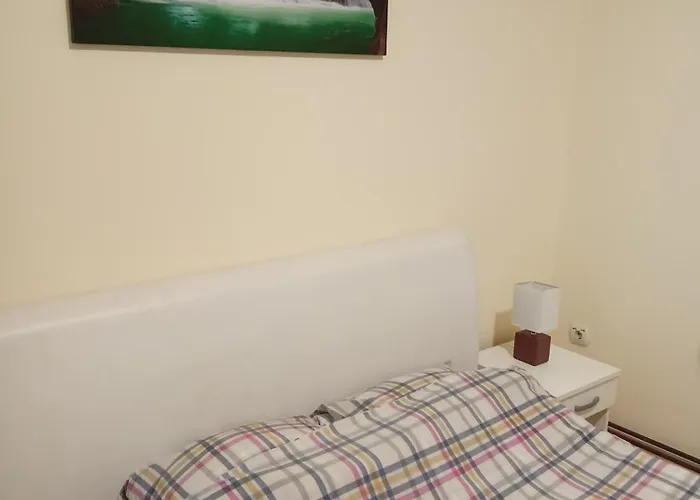 Janicijevic 1 Kragujevac